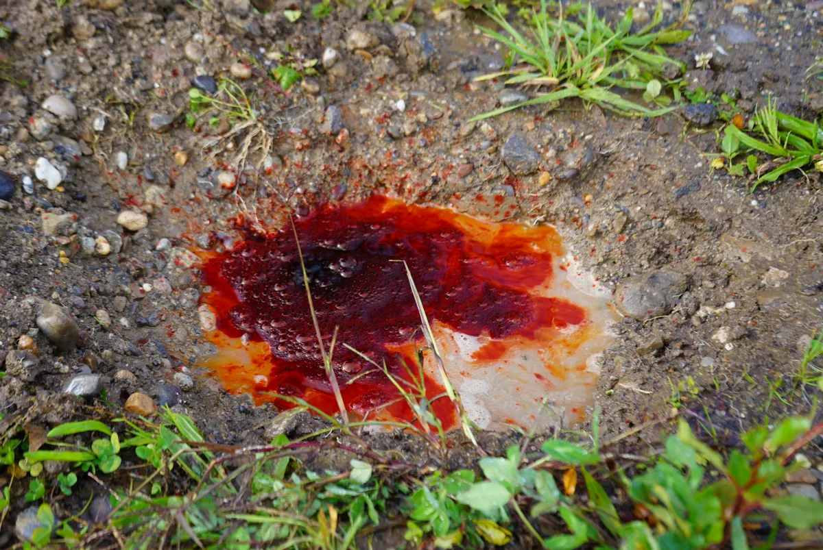 Man sieht eine rot gefärbte Pfütze.